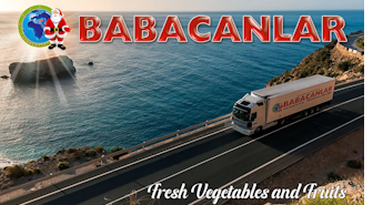 BABACANLAR-ALTINOVA ŞUBESİ fotoğraf 1
